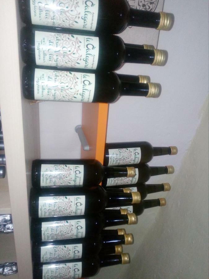 B&B Le Calegare Diano Castello Eksteriør billede